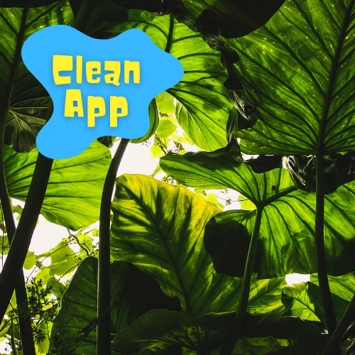 CleanApp
